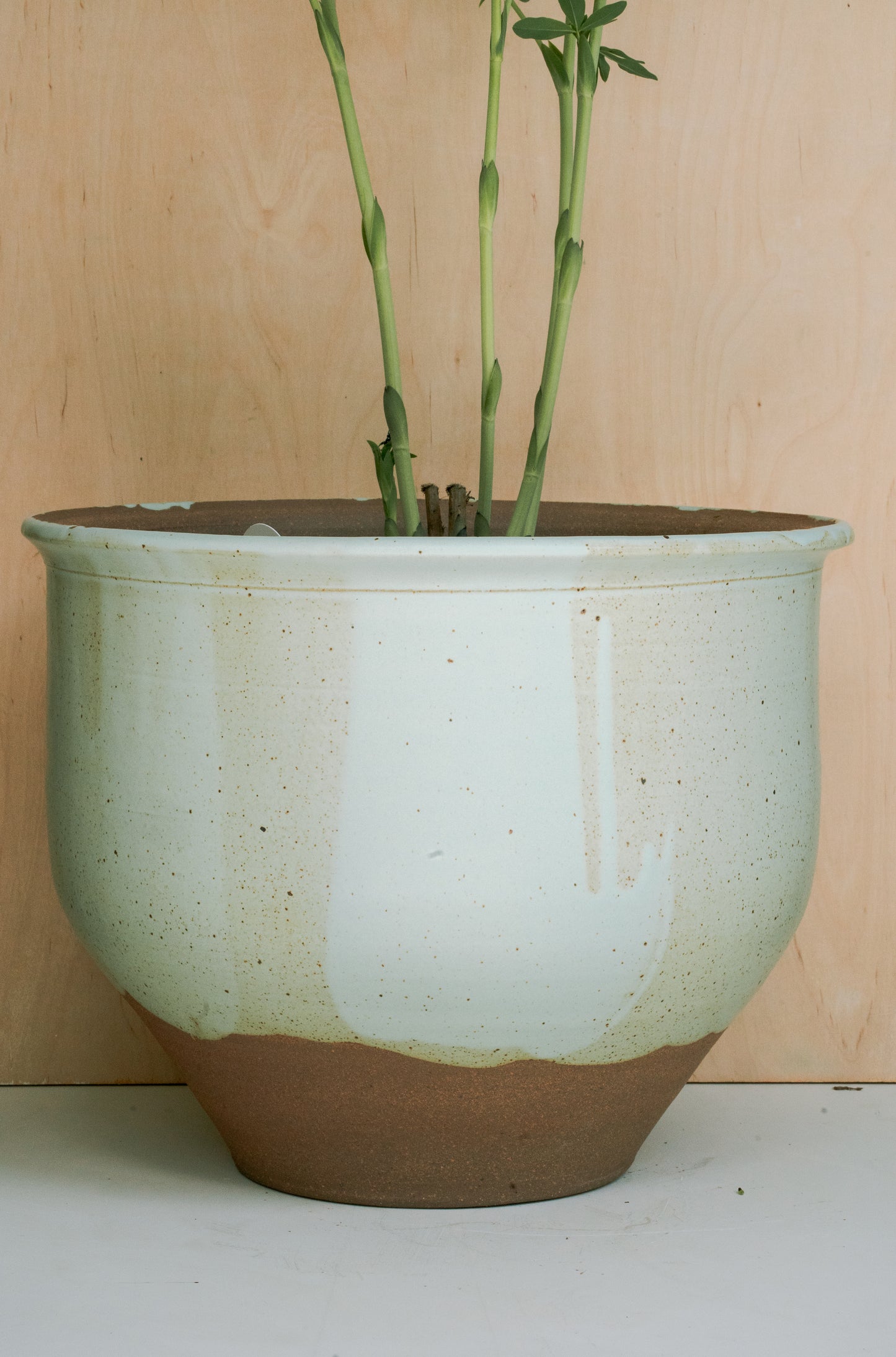LARGE PLANTER