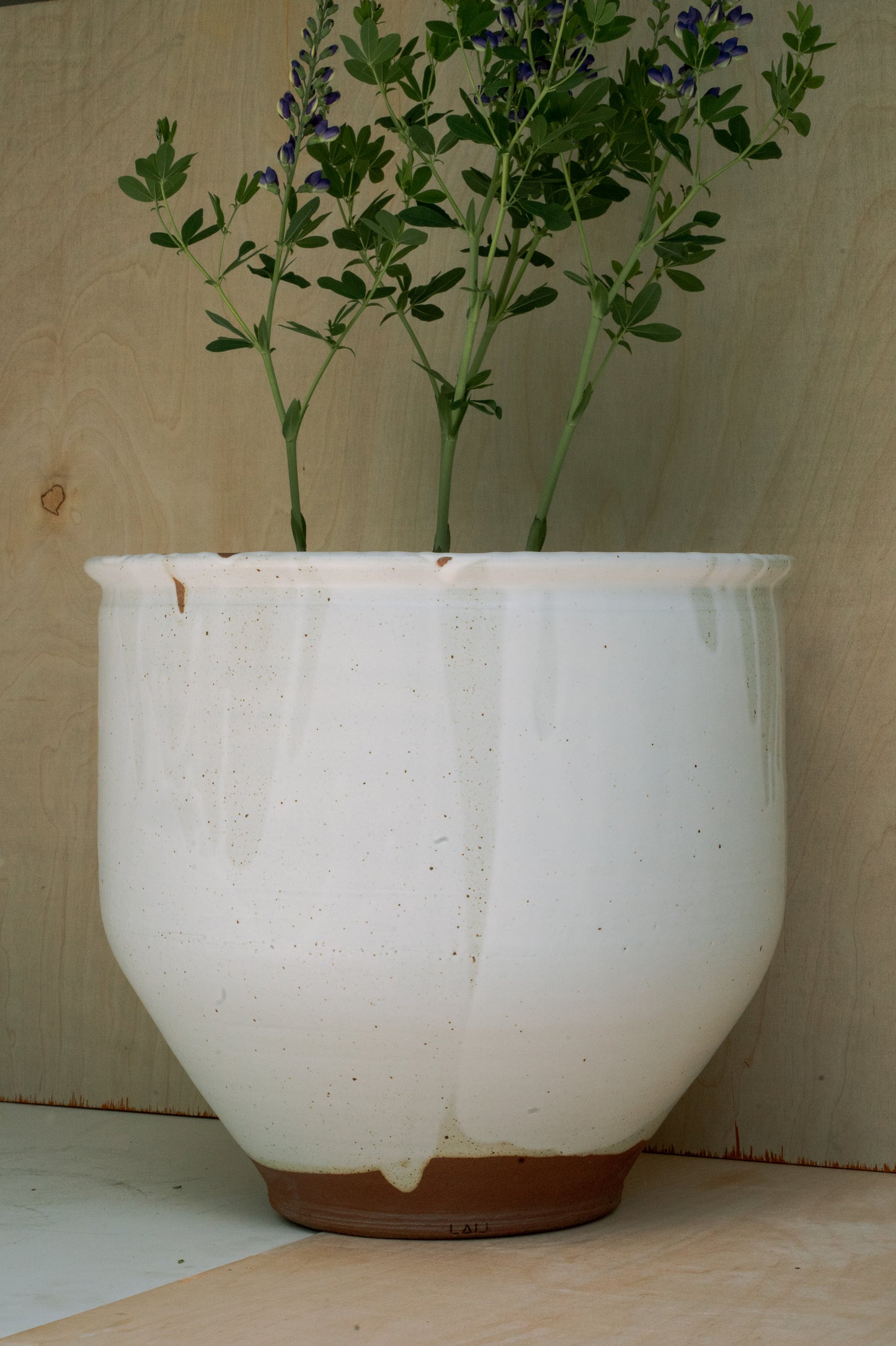 LARGE PLANTER