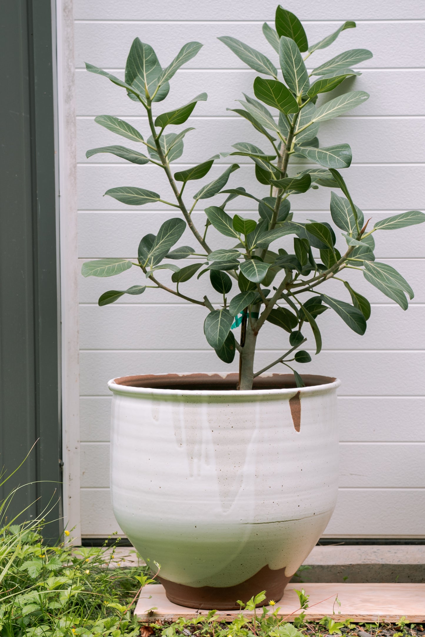 LARGE PLANTER