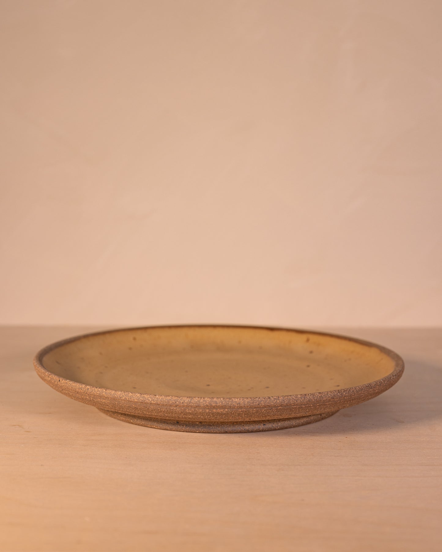 POTTER'S CHOICE DINNER PLATE