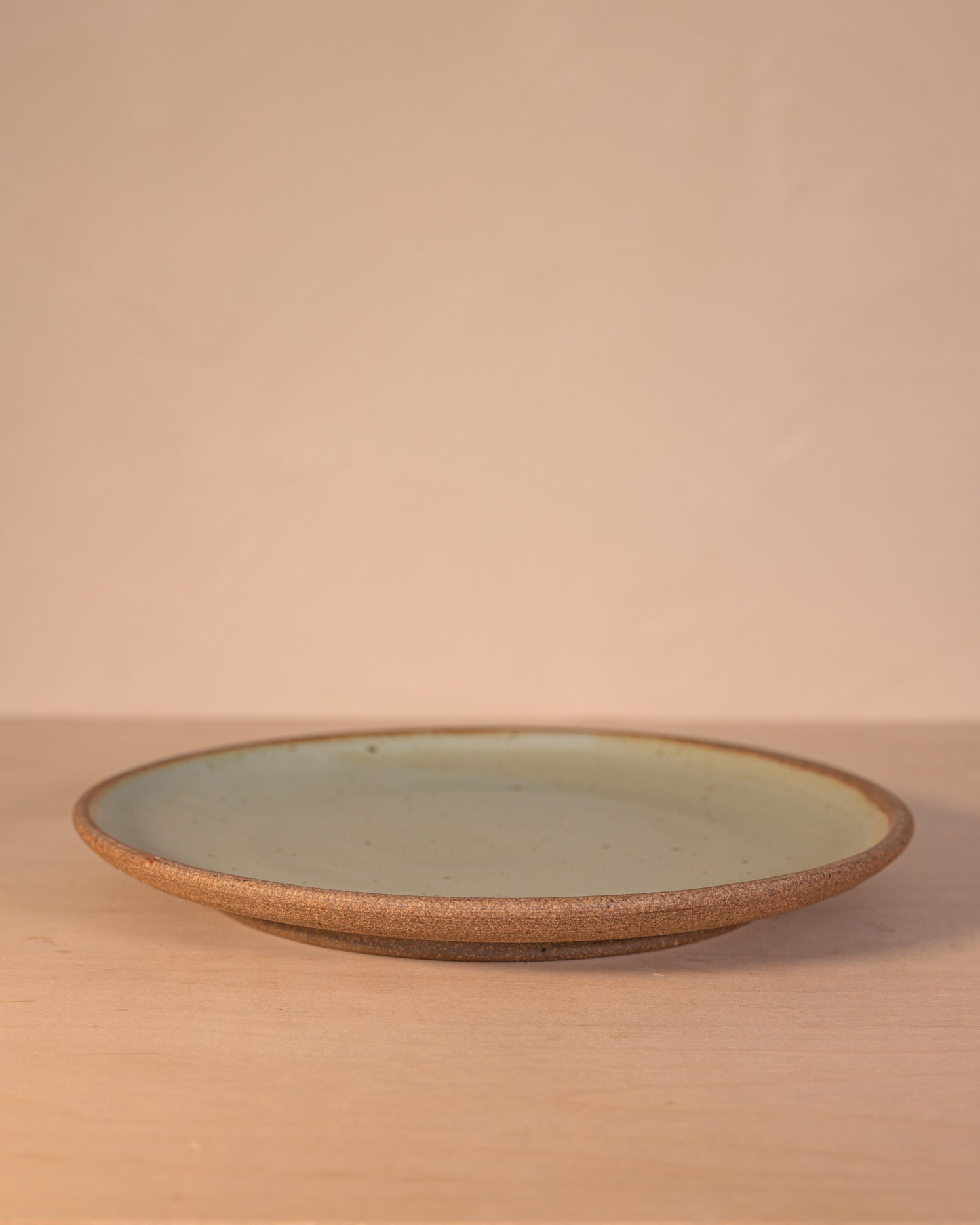 POTTER'S CHOICE DINNER PLATE