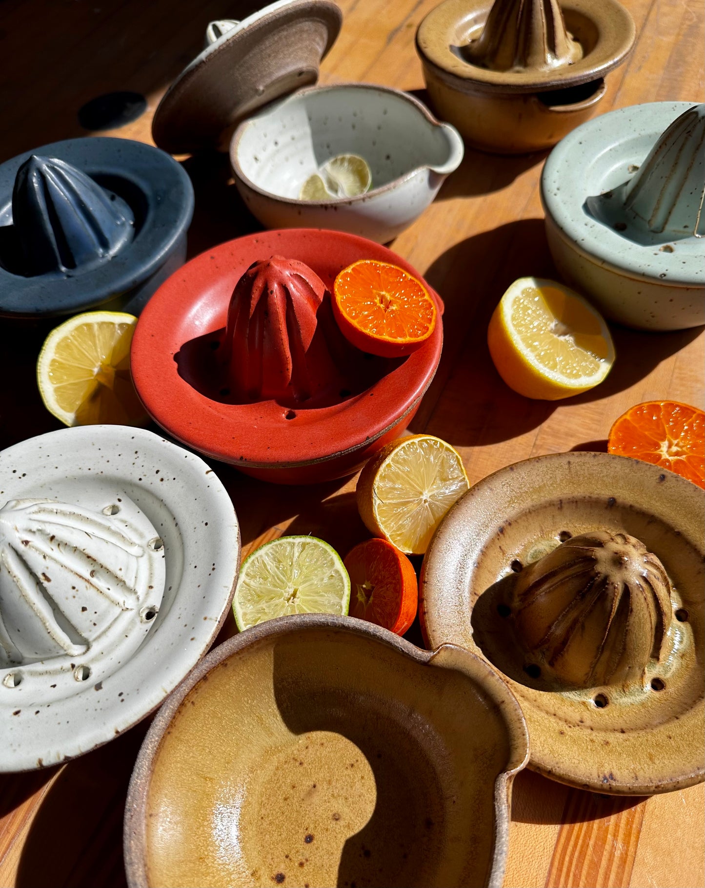 CITRUS JUICER