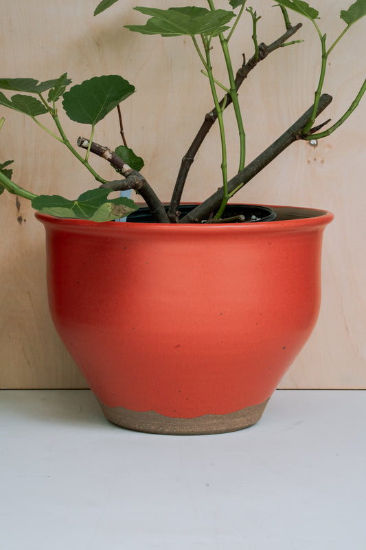 LARGE PLANTER