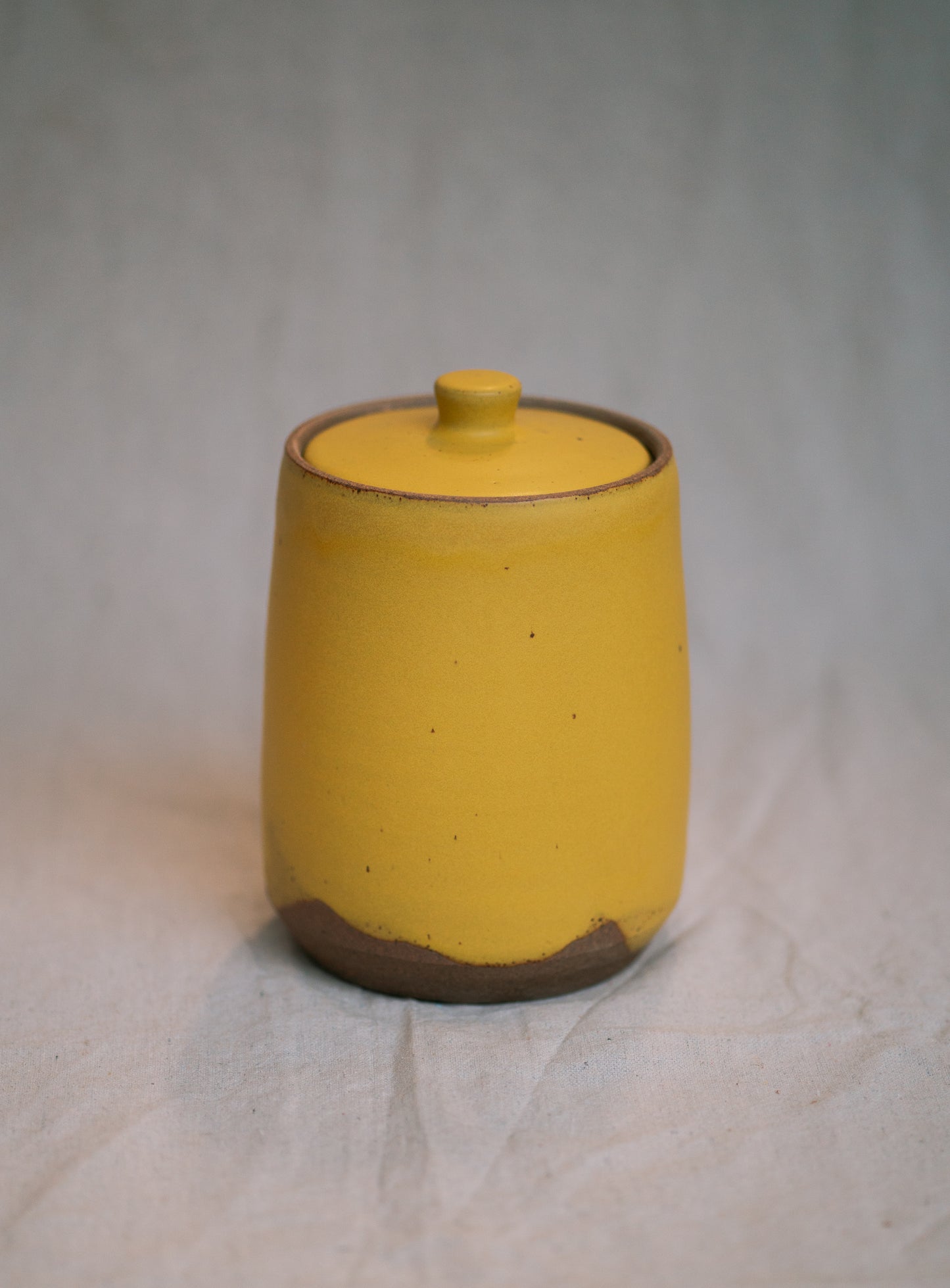 COOKIE JAR - LARGE